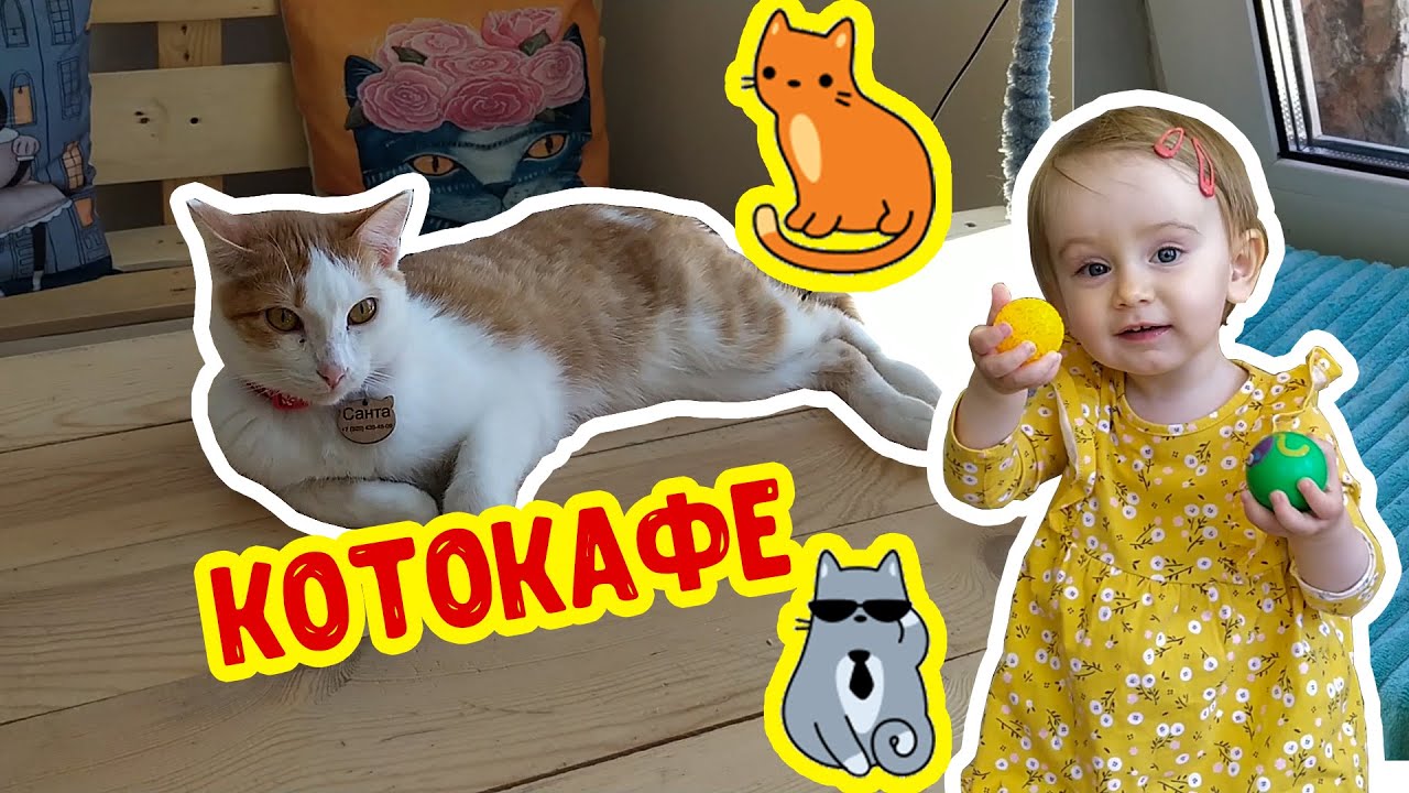 Аня играет с кошками в Котокафе Время Котов! Много кошек и веселья!