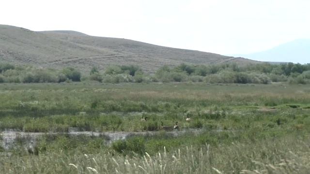 Arapaho National Wildlife Refuge - Park Travel Review смотреть онлайн