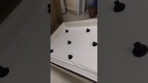 Акриловый поддон Bas Олимпик