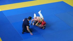 Бои без правил - MMA - Данилов Дмитрий