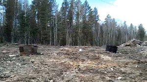 Большая петарда в деле - разорвало ведро (брал в лес отпугивать медведя)