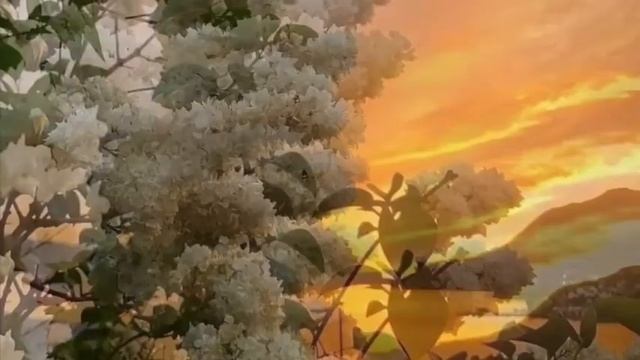 Цыганская песня Быть может я еще сумею 22год смотреть онлайн