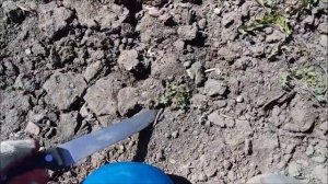 Как избавиться от многолетних сорняков навсегда!