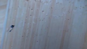 Вагонка на мансарде.