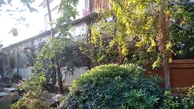 Мерсин. Тедже. Цитрусовый рай☺ смотреть онлайн