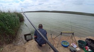 ПОПАЛИ НА ЖОР ТОЛСТОЛОБА.Донузлав,Крым.