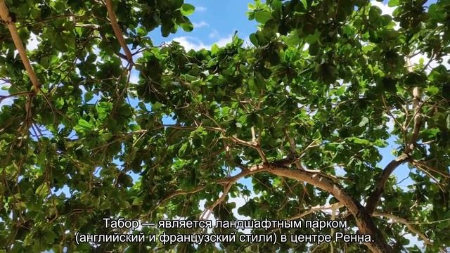 О регионе Бретань во Франции: достопримечательности, карта, как добраться