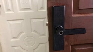 Tuya Smart Door Lock Fingerprint and Passcode Setup