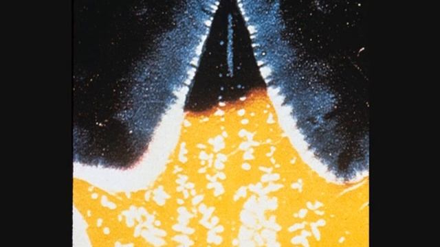 The Control of the Human Aura through the Science of the Spoken Word (10-10-80) смотреть онлайн