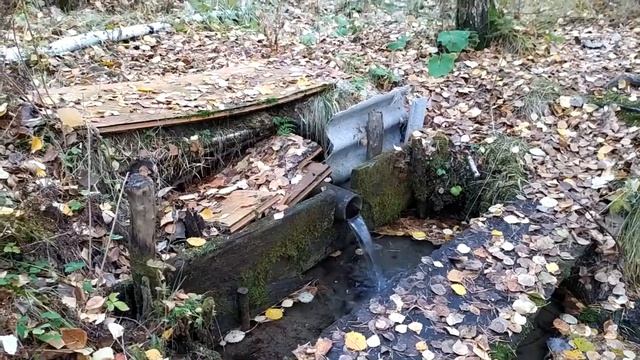 Октябрь 2022 в Родовом поместье Ве Лес на Урале