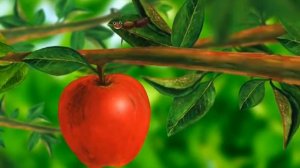 Learn the ABCs: "A" is for Ant