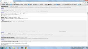 Ускоряем загрузку страницы в браузере:3 (на примере google chrome)