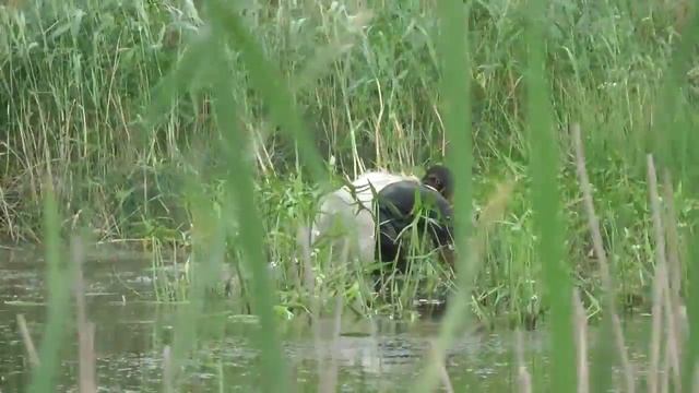 Корзина для рыбалки смотреть онлайн
