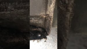KIA CEED чистка дренажів
