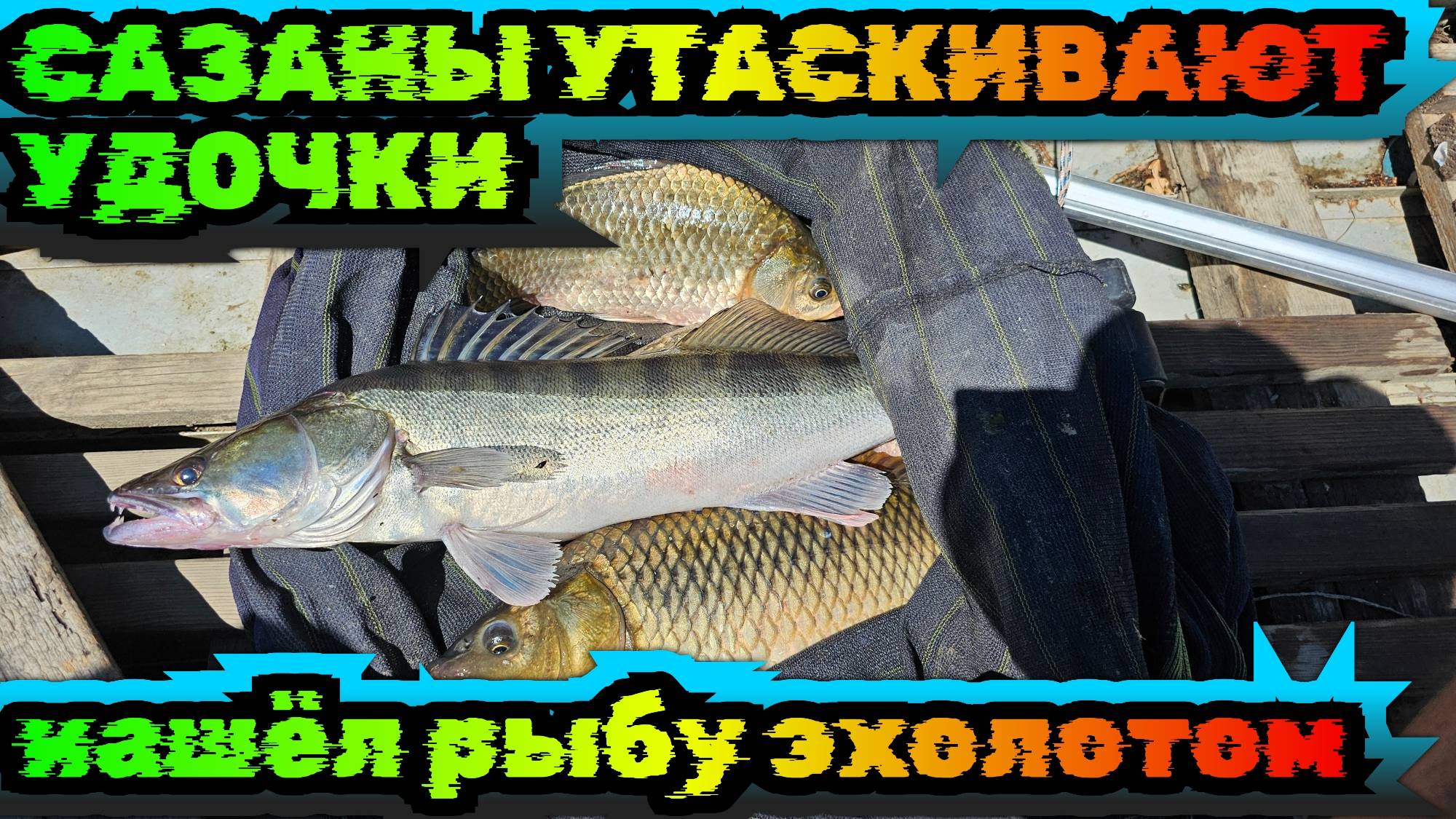 САЗАНЫ утаскивают удочки. Нашел рыбу ЭХОЛОТОМ. Рыбалка Астрахань Август 2024 Бузан. смотреть онлайн