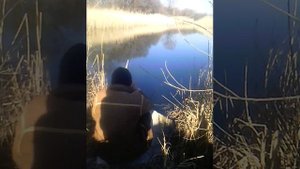 Рыбалка на озере в чистеньком
