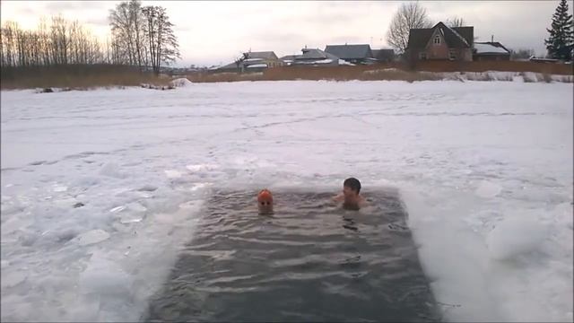 Тюлени смотреть онлайн