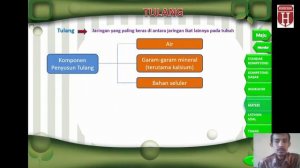 Tulang dan Rangka - Pak Rudi