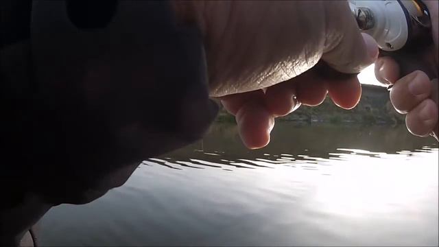 Воблер на щуку, жереха, окуня, голавля Strike Pro Archback 60. На реке! смотреть онлайн