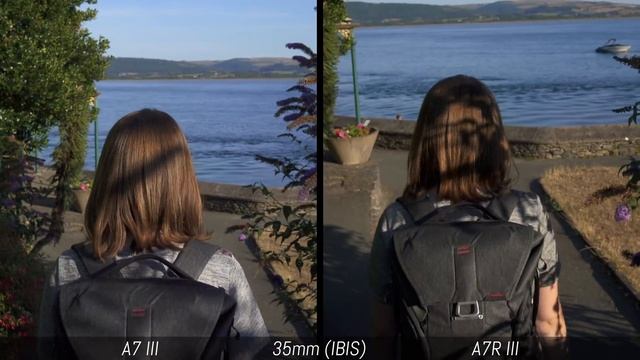 Sony A7 III vs A7R III - 4K Video Comparison