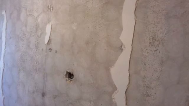 Ремонт однокомнатной квартиры в п. Шушары от Кербес Константина 4 08 2018 10