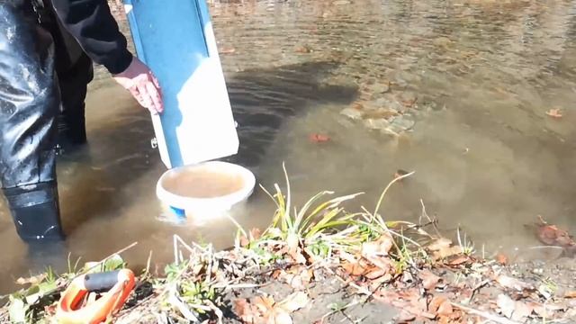 Золото на террасе (часть 2) объемная проба! Gold Panning gold-fever смотреть онлайн