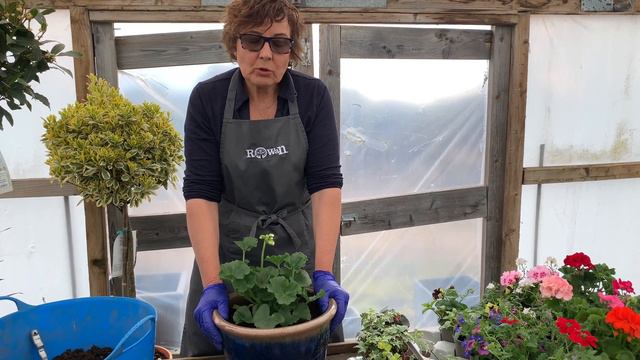 How to make your garden pots last all summer with Alison from Rowan Garden Centre смотреть онлайн