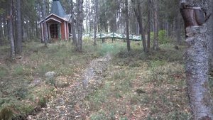 ИСТОК реки ЗАПАДНАЯ ДВИНА , поездка в лес на исток Западной Двины