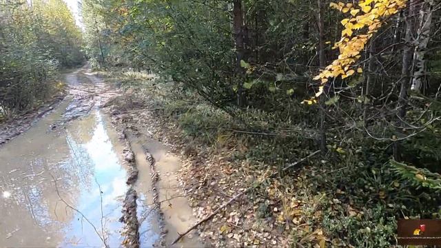 лето 2021 CF MOTO EPS CFORСE600 смотреть онлайн