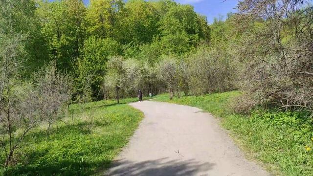 "Начался Сезон Путешествие По Парку"? смотреть онлайн