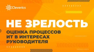 Не зрелость. Оценка процессов управления ИТ в интересах руководителя