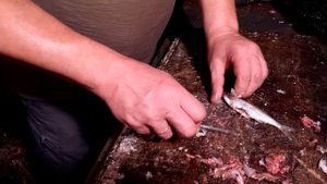 Чистим потрошим уклейку
