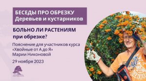 Деревьям больно при обрезке. Как быть?