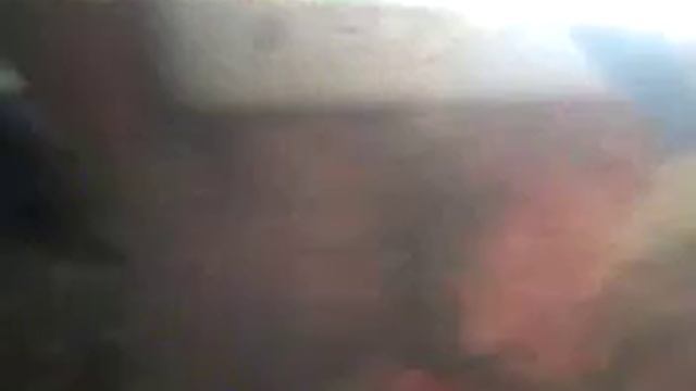 Конкурс на имя для петушка смотреть онлайн