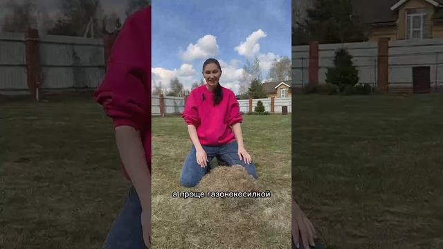 УХОД ЗА ГАЗОНОМ ВЕСНОЙ смотреть онлайн