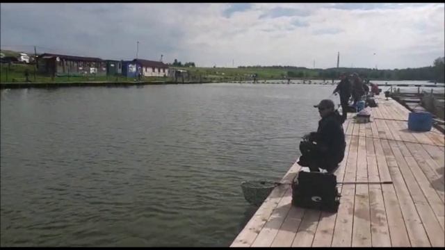 Коротко о клеве форели на 1 секторе!!!!!Клевое место. д. Савельево. смотреть онлайн
