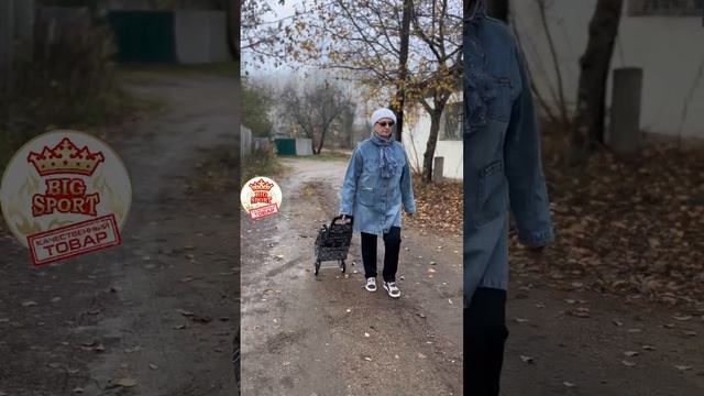 Сумка на колесах СУПЕР смотреть онлайн