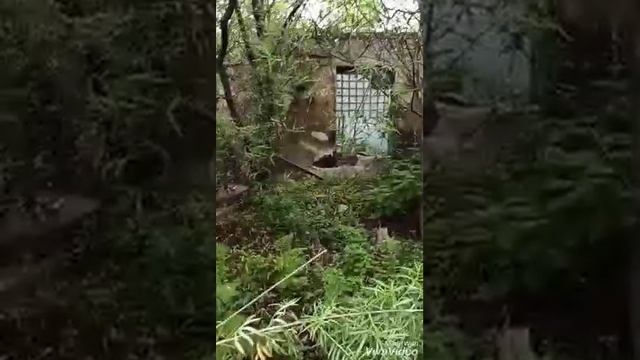 #русский  #36067 #служба #память смотреть онлайн