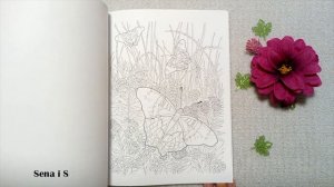 Раскраска САД БАБОЧЕК от Креатив Хэвен CREATIVE HAVEN Butterfly Gardens Coloring Book / SenaiS Art