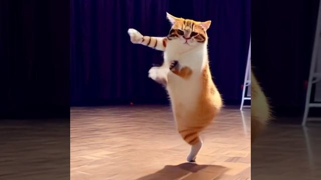 #кот #котгитлер #котбагнутый