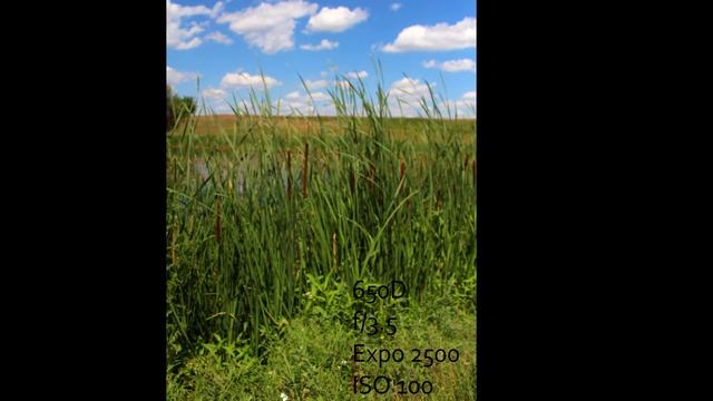 Canon 650D vs Nikon D90 Photography Test смотреть онлайн