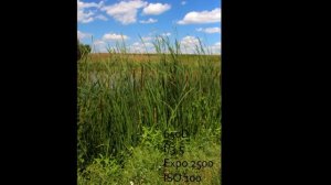 Canon 650D vs Nikon D90 Photography Test