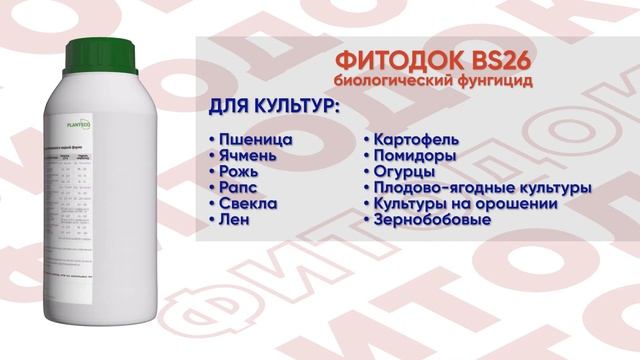 Фитодок (Bacillus subtilis) - фунгицид широкого спектра действия. смотреть онлайн