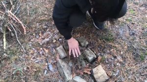 Выживание в лесу