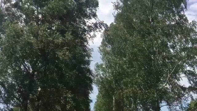 Борисов. Брилевское поле