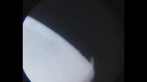 Разные виды лезвий под микроскопом.