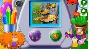 домовенок бу,мир растений,урок 1