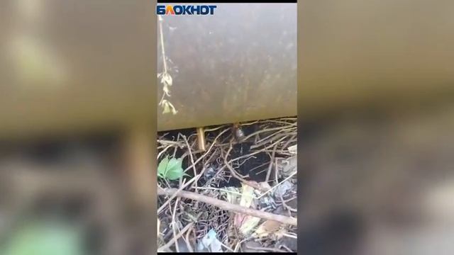 Размыло баню, а следом пострадает дом: уже более 3-х раз затапливают волжанку в СНТ«Мичуринец» смотреть онлайн