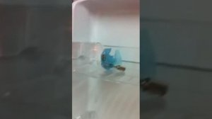 Panasonic Refrigerator NR-B591B