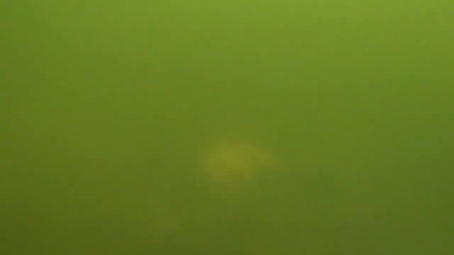 Подводная охота на малых реках день 2 смотреть онлайн